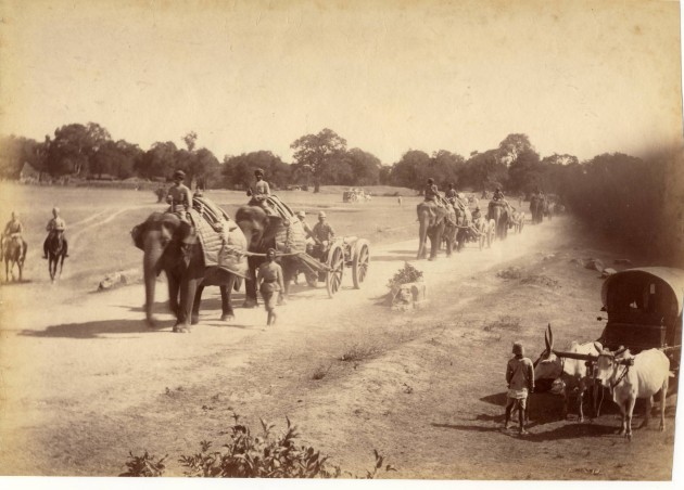 Elephants Pulling Artillery Carts - Sri Lanka c1885